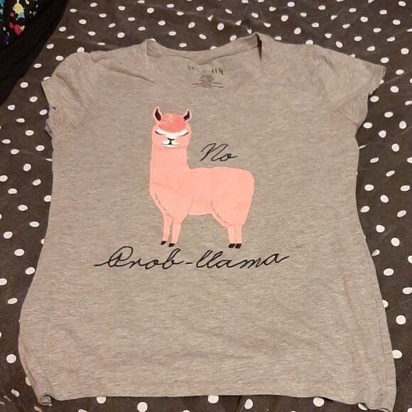 3/10$ Wound up - Grey with pink Llama tshirt - Picture 1 of 4